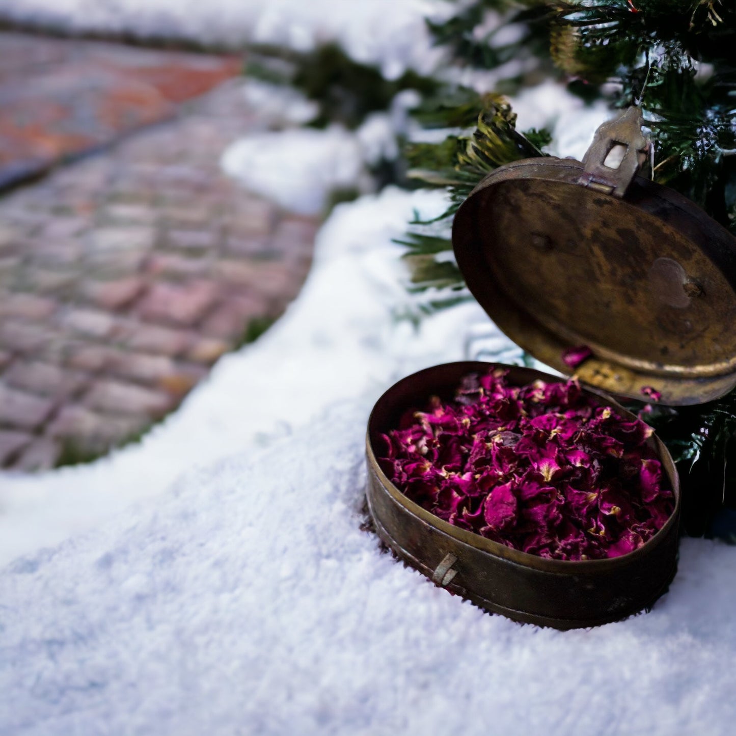 Rose Petals