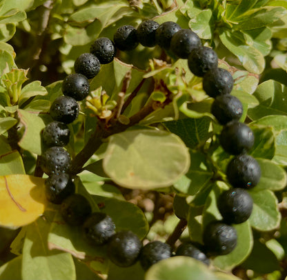 Crystal Bracelet Jewlery